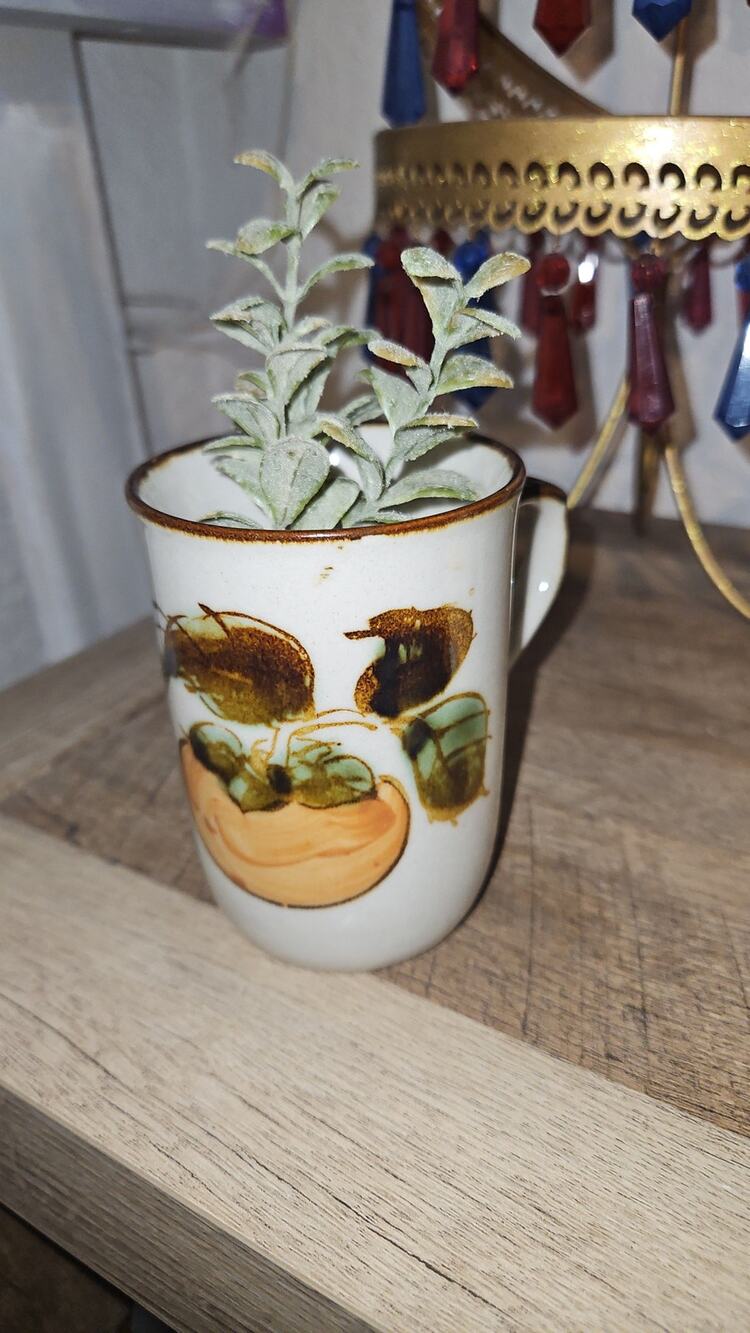 Japan Stamped Persimmon Coffee Mug